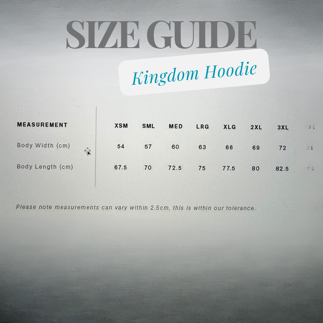 Unisex  Light Blue Hoodie - Kingdom